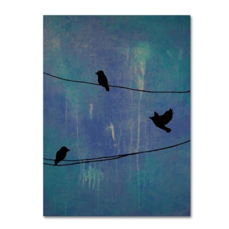 Nicole Dietz 'Birds Arrival' Canvas Art,35x47